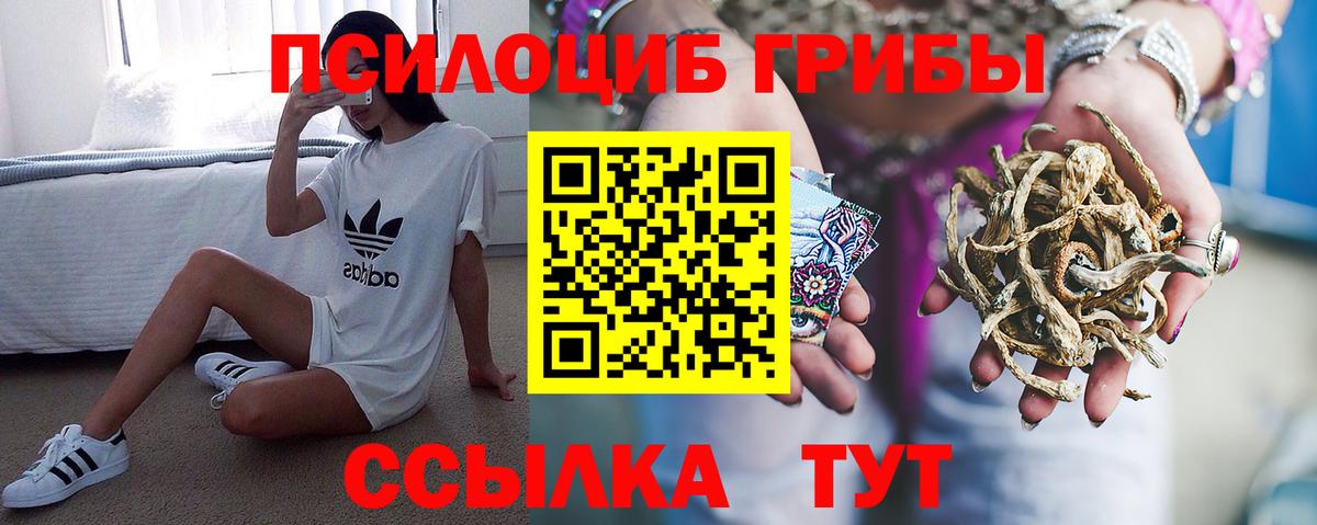 Псилоцибиновые грибы ЛСД Анапа
